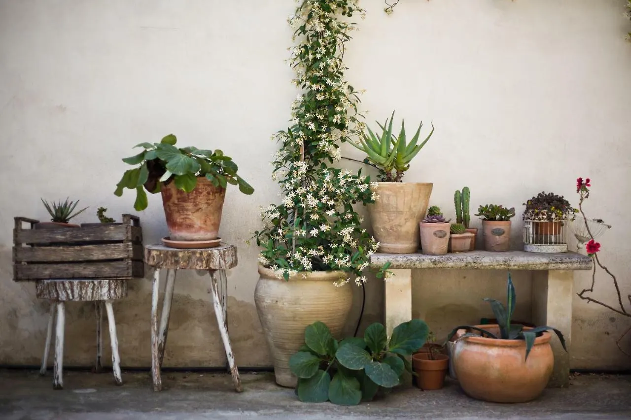 Nuvole Barocche B&B Lecce